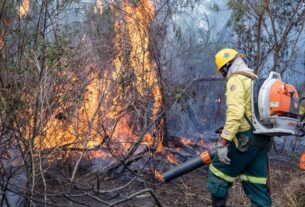 Operação Pantanal mobiliza 700 profissionais do Governo Federal — Agência Gov