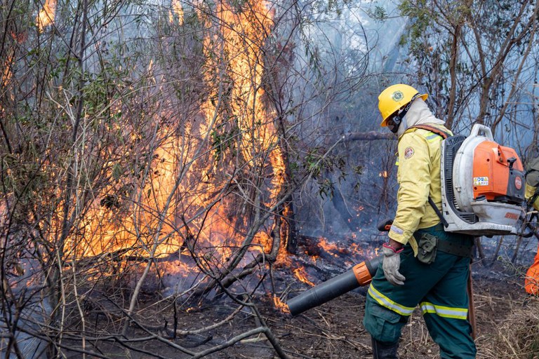 Operação Pantanal mobiliza 700 profissionais do Governo Federal — Agência Gov