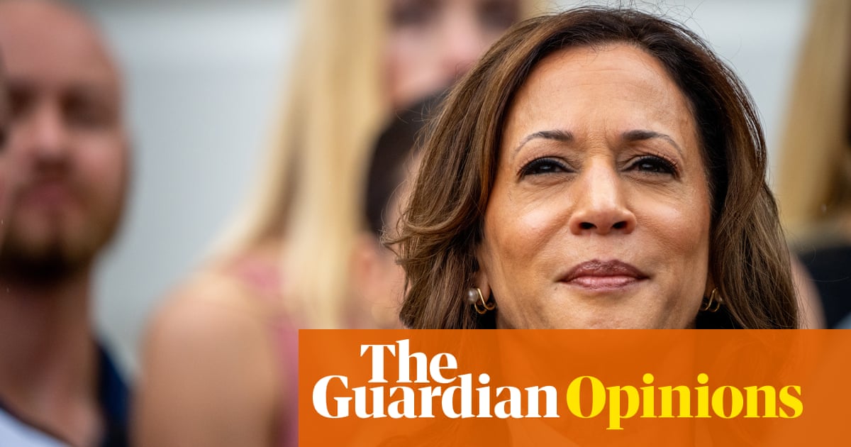 Trabalhei para eleger Kamala Harris. Ela deve romper com Biden sobre Israel e Palestina | Lily Greenberg Call