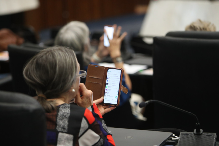 Curso ocorreu no Plenário da Assembleia na tarde desta quinta-feira (22).