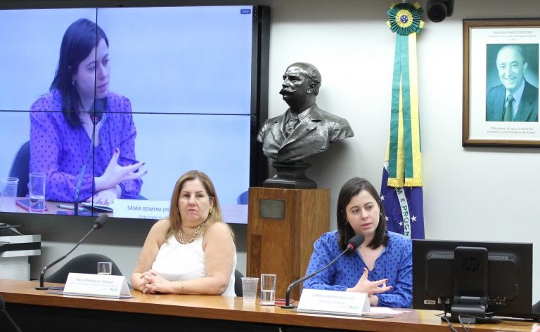 Deputadas vão ao STF contra reversão de resgate de mulher encontrada por fiscais do trabalho em regime de escravidão — Portal da Câmara dos Deputados