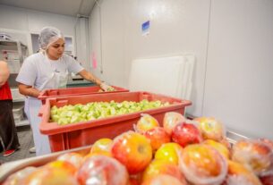 Governo Federal cria medida que amplia oferta de alimentos ao Cozinha Solidária — Agência Gov