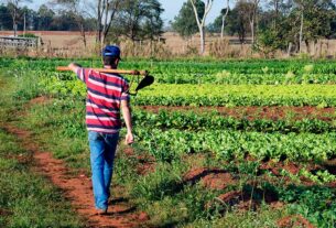 Permanência de jovens agricultores no campo está na pauta da CRA — Senado Notícias