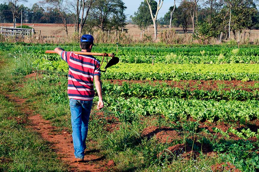 Permanência de jovens agricultores no campo está na pauta da CRA — Senado Notícias