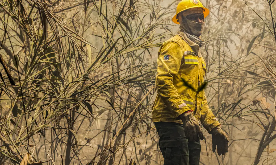 90% dos incêndios no Pantanal estão extintos ou controlados — Agência Gov