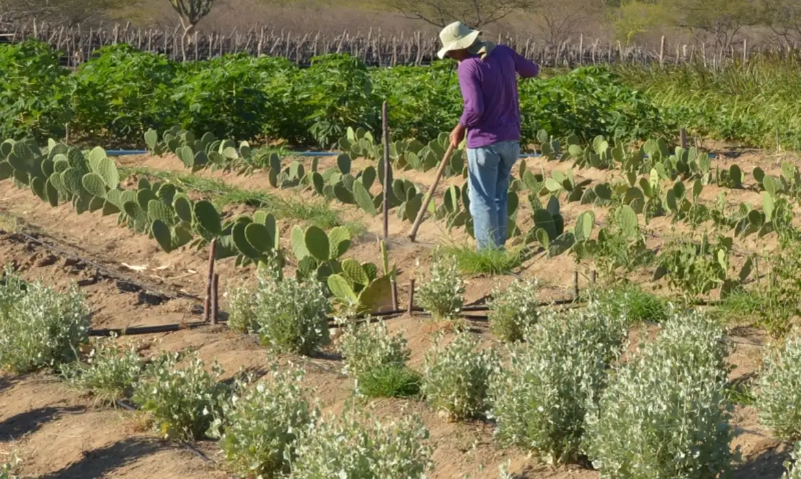 Agricultores são convocados para regularizar situação em 115 assentamentos de 11 estados — Agência Gov