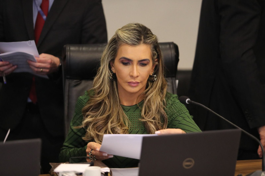 A deputada Flávia Francischini (União) é a autora do projeto de lei 561/2024