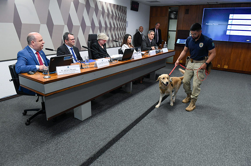 A chamada “unidade k-9”, termo comum nos países de língua inglesa para designar cães utilizados pela polícia, já existe em diversos Parlamentos do mundo, e permite contar com um aparato móvel, confiável, ágil, eficiente, com baixo custo e insubstituível para a detecção de explosivos, armas e outros artefatos que possam trazer riscos à integridade física de pessoas e instalações.