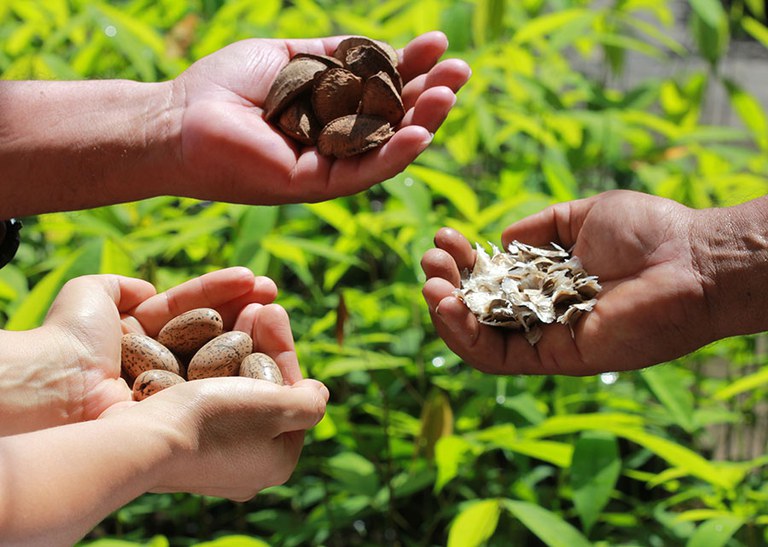 'Bioeconomia é uma alternativa para a especialização inteligente dos territórios' — Agência Gov