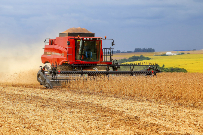 Chuvas favorecem plantio e produção estimada de soja é de 22,4 milhões de toneladas