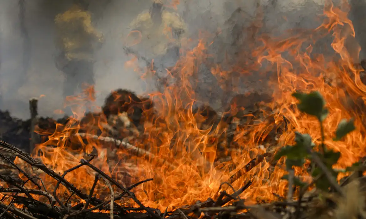 Cofiex aprova R$ 2 bilhões para estados e municípios enfrentarem desafios ambientais e climáticos — Agência Gov