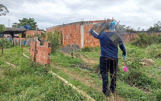 Fiocruz detecta ratos infectados — Agência Gov