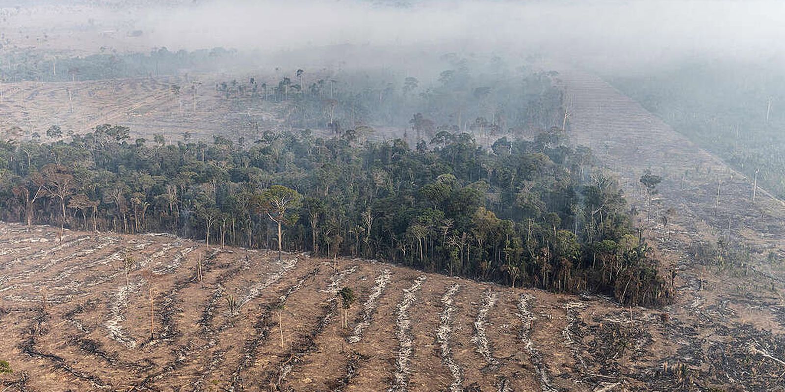 Fogo na Amazônia é etapa da exploração econômica do bioma