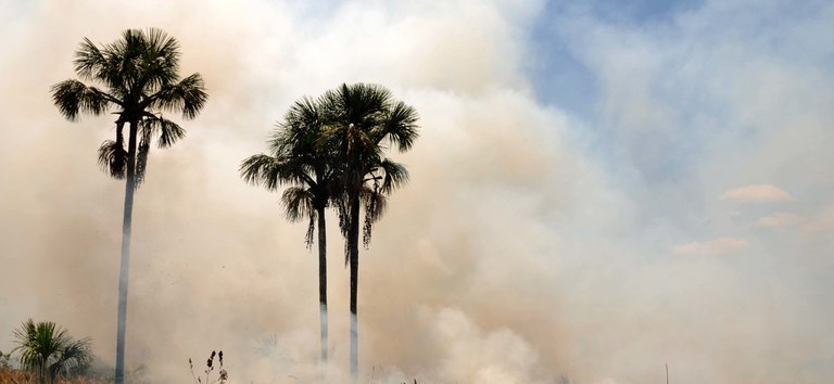 Fumaça dos incêndios pode ser mais prejudicial às crianças, idosos, gestantes e pessoas com comorbidades — Agência Gov