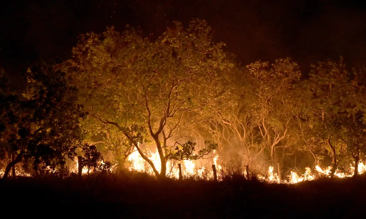 Governo Federal institui novas multas para quem provocar incêndios florestais — Agência Gov