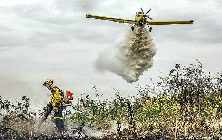 Governo Federal mais que duplica efetivo de forças no combate a incêndios florestais — Agência Gov