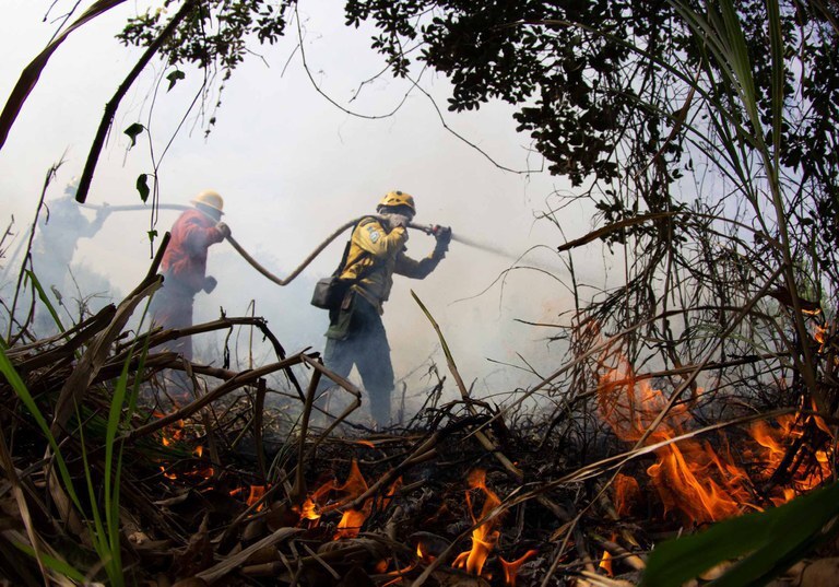 Plano Clima Participativo atinge o marco de mil propostas recebidas — Agência Gov