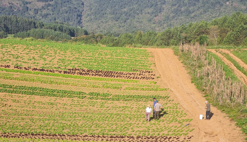 Projeto capacita agricultores familiares no Vale do Ribeira e na Região Metropolitana de Curitiba | ASN Paraná