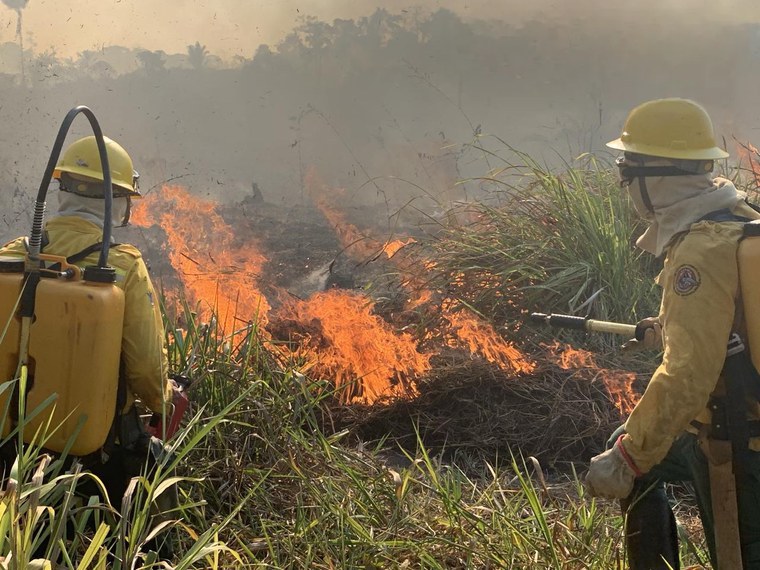 AGU aciona autores de queimadas em vegetação nativa e cobra R$ 89 milhões — Agência Gov