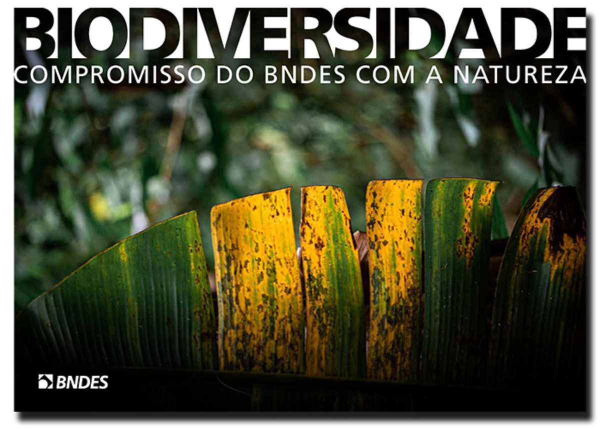 BNDES lança compromissos com a Biodiversidade na COP16, em Cali — Agência Gov