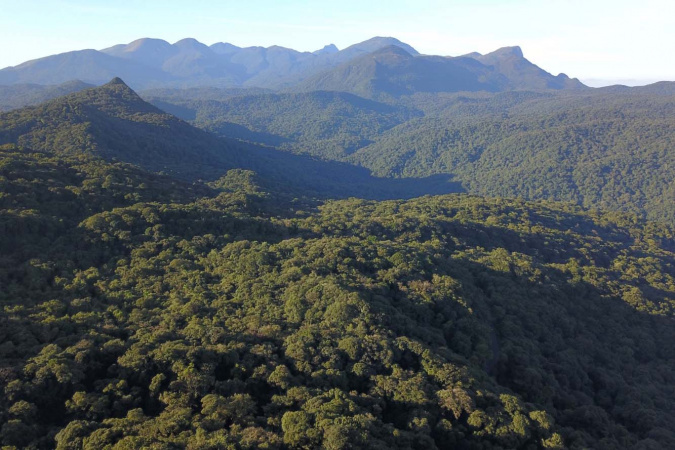 Com apoio do Estado, oito soluções para a Mata Atlântica receberão R$ 2,9 milhões