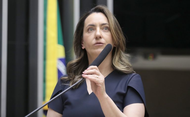 Deputada Rosangela Moro fala ao microfone