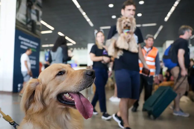 Governo Federal lança Plano de Transporte Aéreo de Animais — Agência Gov