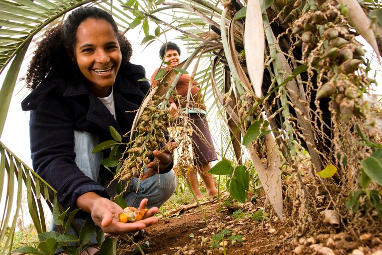 Os pilares da agricultura familiar como base da segurança alimentar e da sustentabilidade — Agência Gov