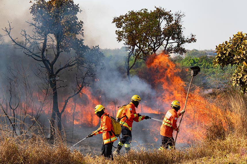 Para 59%, incêndios são causados para criar desordem, aponta DataSenado — Senado Notícias