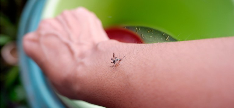 Saúde lança campanha nacional de combate à dengue, zika e chikungunya — Agência Gov