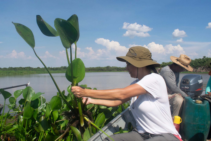 Startup apoiada pelo Estado é uma das 20 empresas do mundo que participarão da COP16