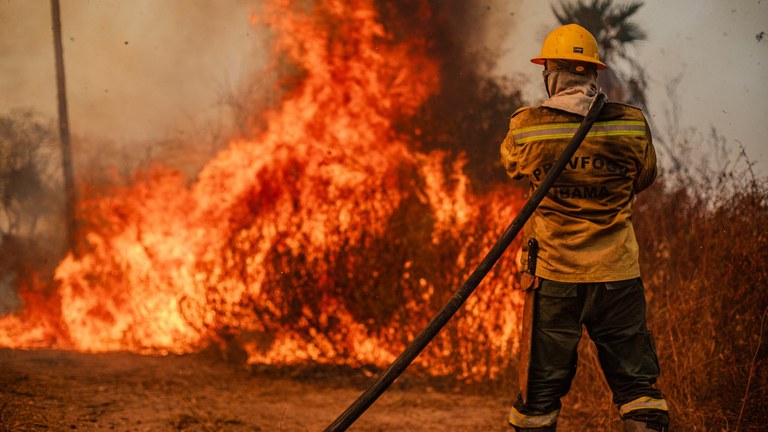 AGU cobra R$ 142 milhões de infratores por destruição de vegetação nativa — Agência Gov