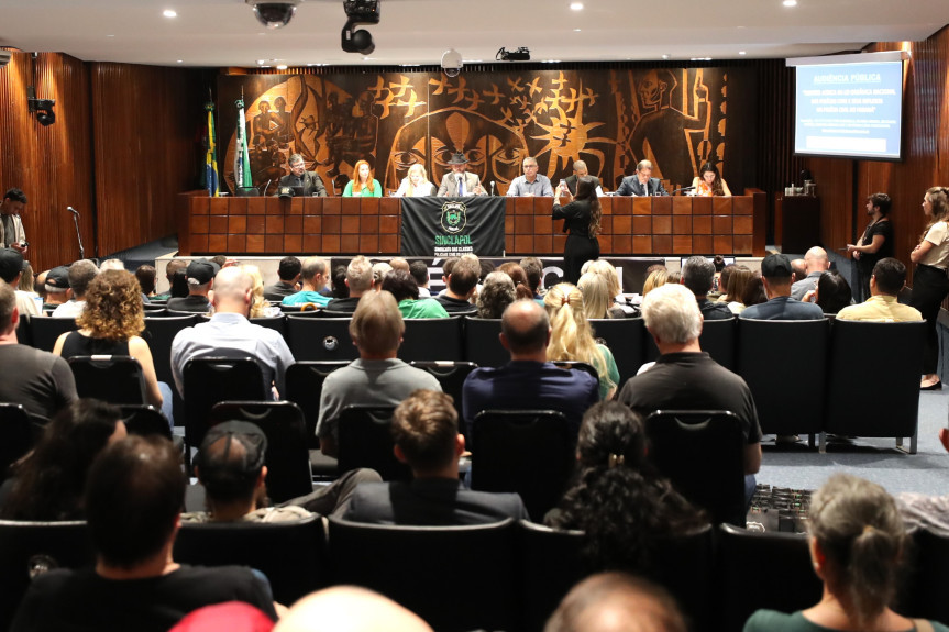 Audiência ocorreu no Plenarinho da Assembleia Legislativa na tarde desta quarta-feira (6).