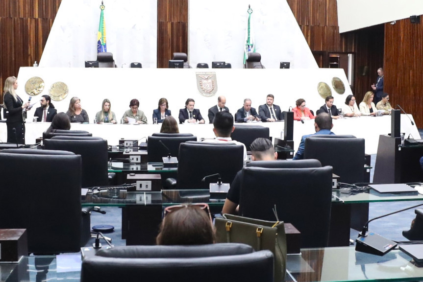 Audiência ocorreu no Plenário da Assembleia Legislativa na tarde desta quarta-feira (6).