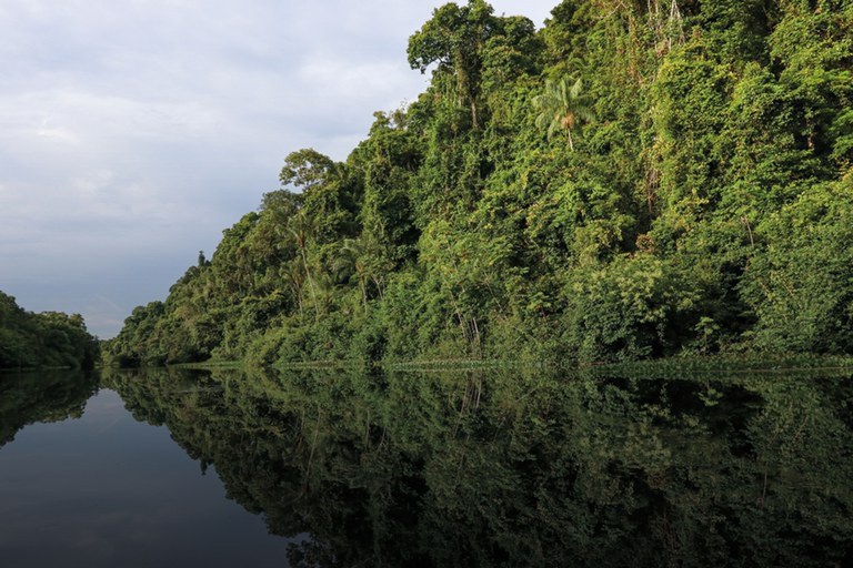 BNDES libera em sete meses 2,5 vezes o valor aprovado em dez anos de Fundo Clima — Agência Gov