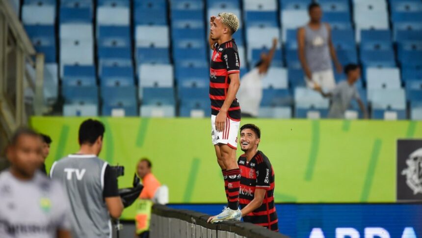 Botafogo tem dificuldade, e Flamengo diminui a distância para o líder;