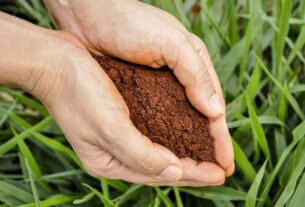 Brasil é líder mundial em uso de biofertilizantes e biodefensivos — Agência Gov