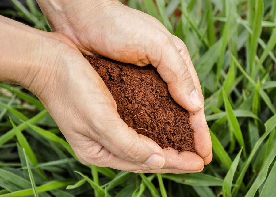 Brasil é líder mundial em uso de biofertilizantes e biodefensivos — Agência Gov