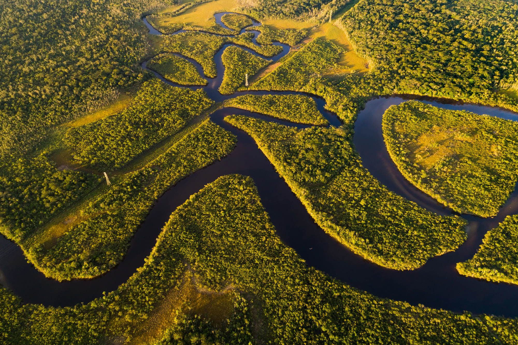 Com R$ 882 milhões, Fundo Amazônia atinge recorde histórico de aprovações este ano — Agência Gov