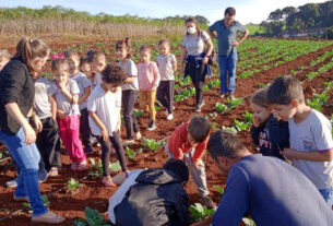 Crianças conhecem o empreendedorismo através da alimentação saudável | ASN Paraná