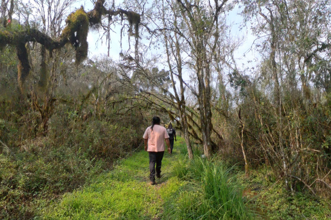 Decreto que institui Rota dos Caminhos do Peabiru fortalece potencial turístico da trilha