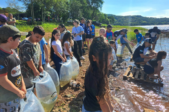 Dia do Iguaçu: Estado vai soltar 1,3 milhão de peixes nativos no rio que corta o Paraná