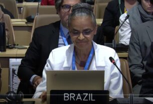 "É com grande responsabilidade que o Brasil recebe a presidência da COP 30", afirma Marina Silva — Agência Gov