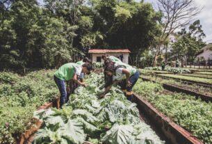 Estudantes do campo agora têm vagas reservadas no Sisu — Agência Gov