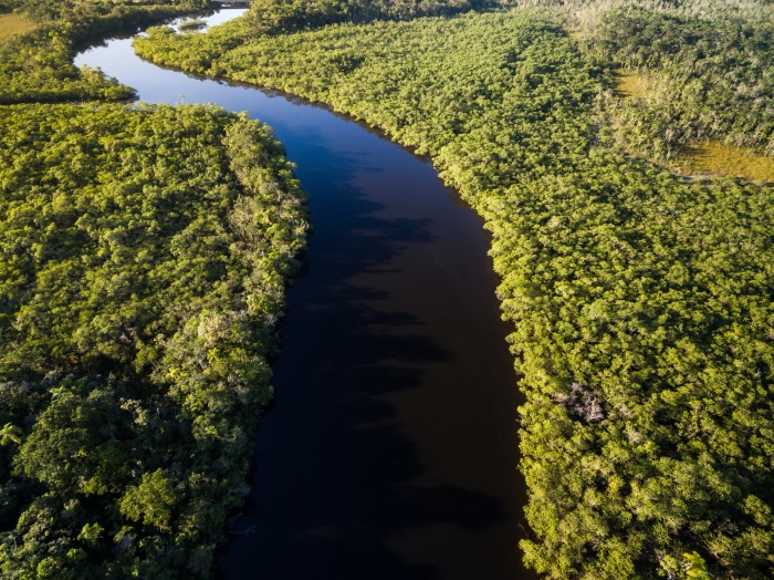 Fundo Amazônia tem nova doação de US$ 60 milhões da Noruega — Agência Gov