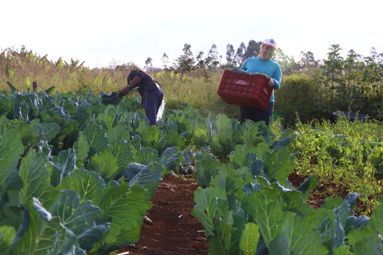 Fundo internacional adere à Aliança Global Contra a Fome com mais de R$ 1 bilhão — Agência Gov