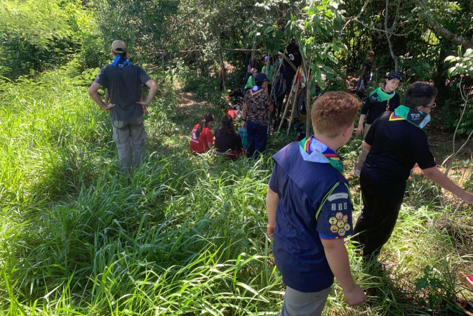 IAT inicia plantio de 5 mil mudas nativas para reforçar proteção dos rios do Paraná