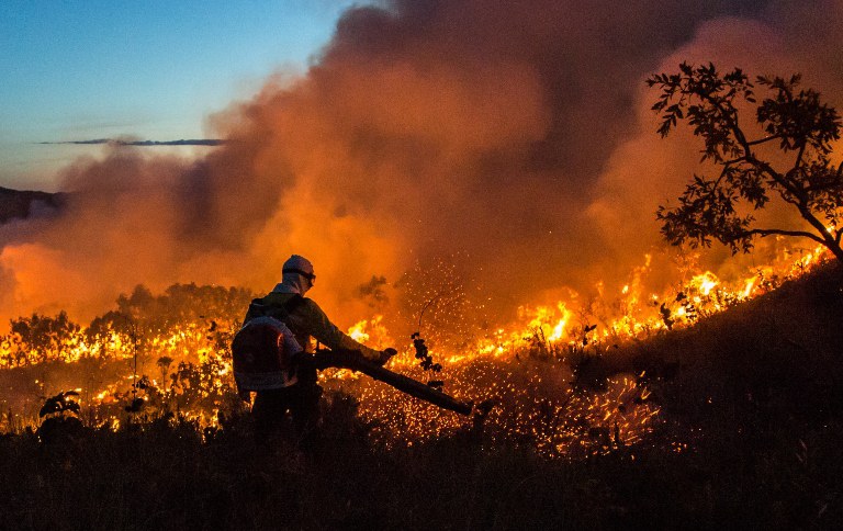 ICMBio lança sistema para monitoramento de áreas afetadas por incêndios em unidades de conservação federais — Agência Gov