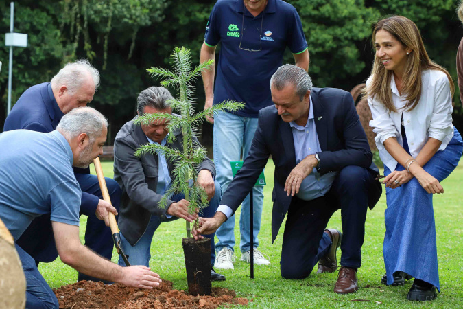 MON se transforma na casa da "muda 10 milhões" do programa Paraná Mais Verde