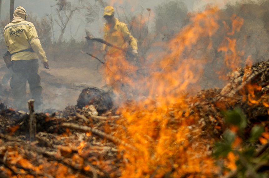 MP dispensa convênio para repasses do Fundo de Meio Ambiente — Senado Notícias